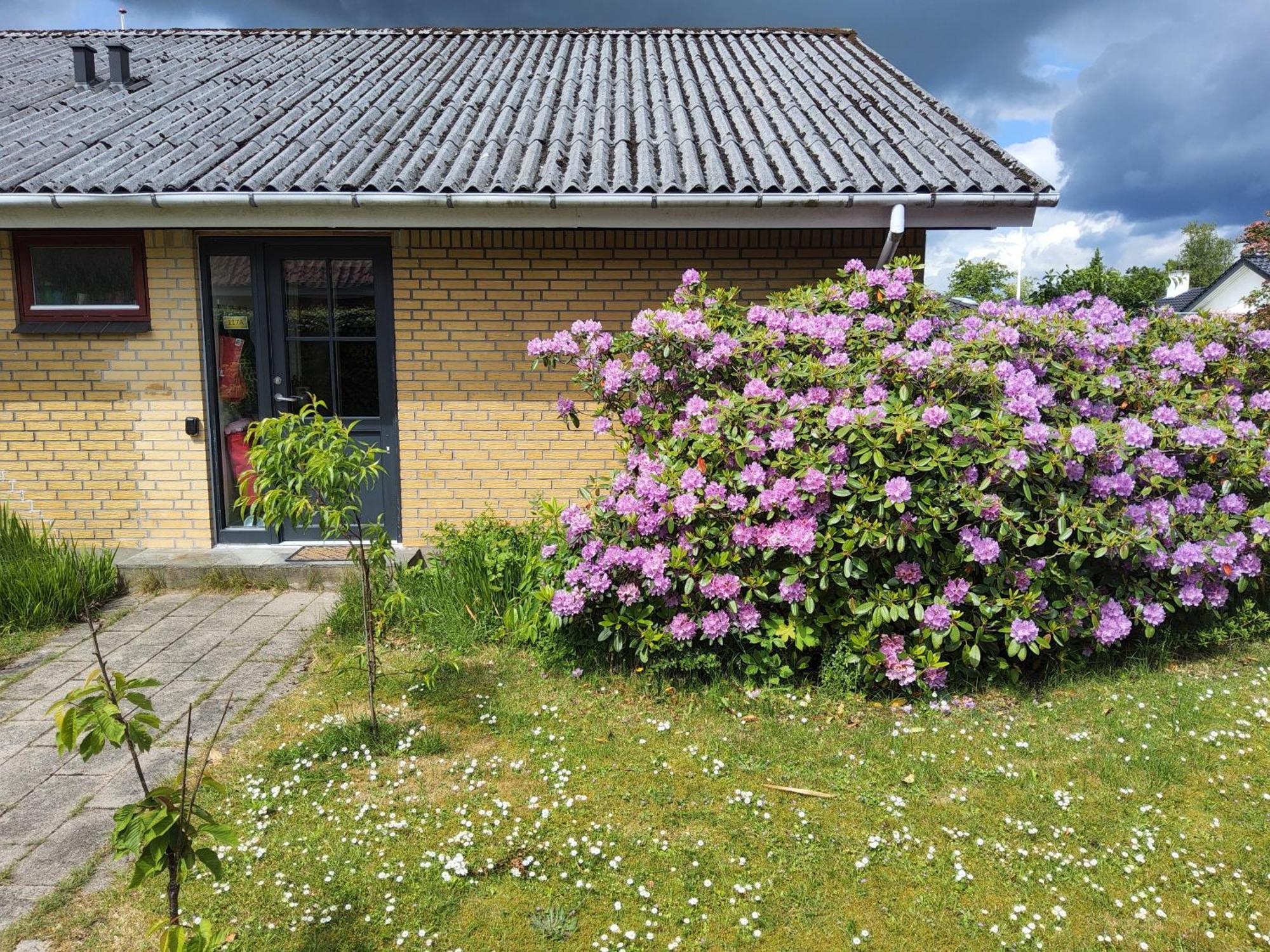 Family Friendly Apt B, 900M To Lego House, Parking, Legoland, Lalandia Billund Exterior photo